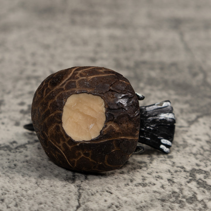 Red And Black Seedeater Bird Tagua Carving