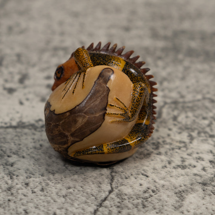 Brown And Black Iguana Lizard Tagua Carving