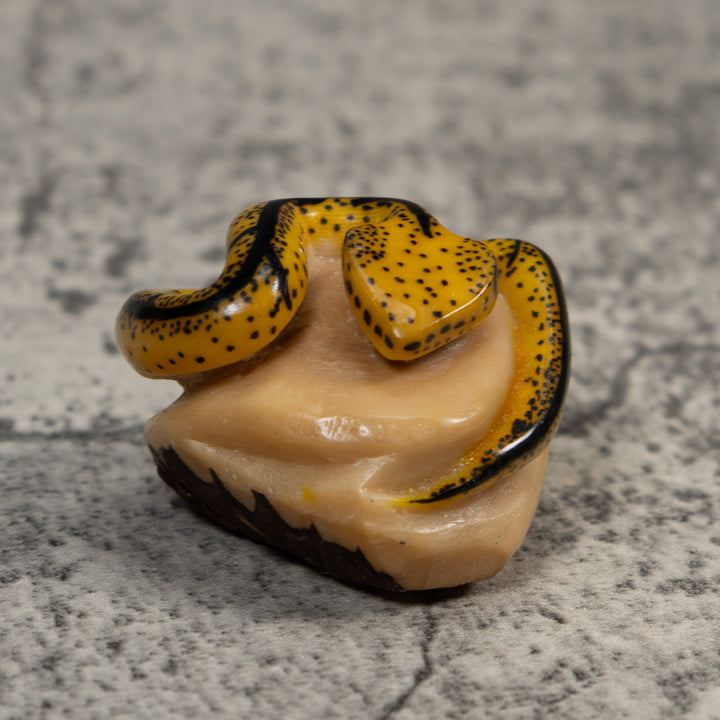 Black And Tan Bush Master Snake Tagua Carving