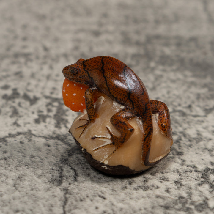Gecko Lizard With Chin Flap Tagua Carving