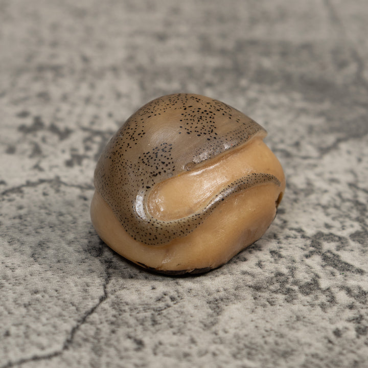 Vintage Ocean Stingray Tagua Carving