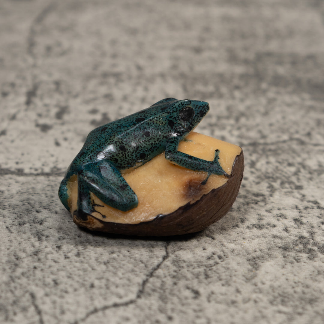 Vintage Blue And Black Frog Tagua Carving