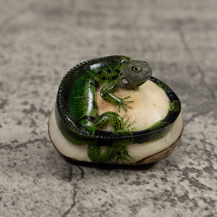 Iguana Lizard Reptile Tagua Carving
