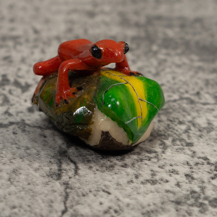 Orange Black-Eyed Poison Dart Frog Tagua Carving