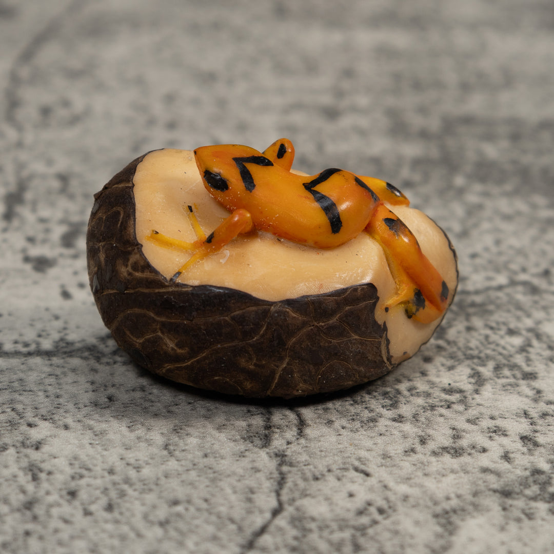 Vintage Black And Golden Frog Tagua Carving