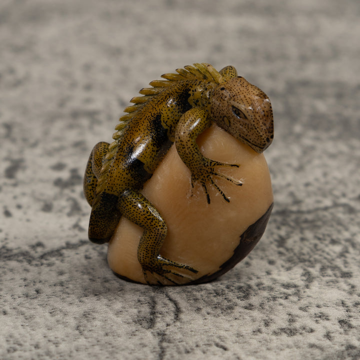 Iguana Lizard Reptile Tagua Carving