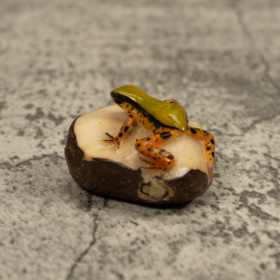 Gold Poison Dart Frog Tagua Carving