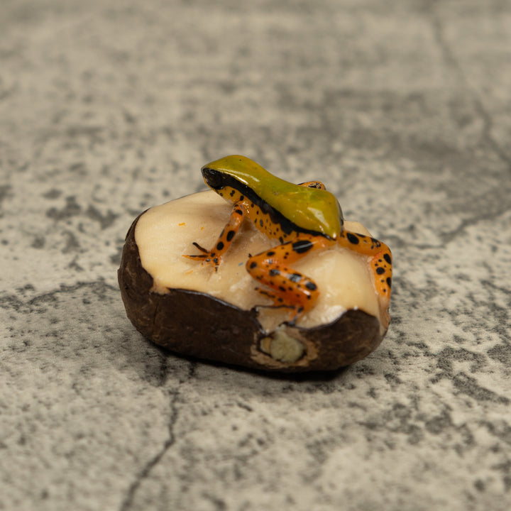 Gold Poison Dart Frog Tagua Carving