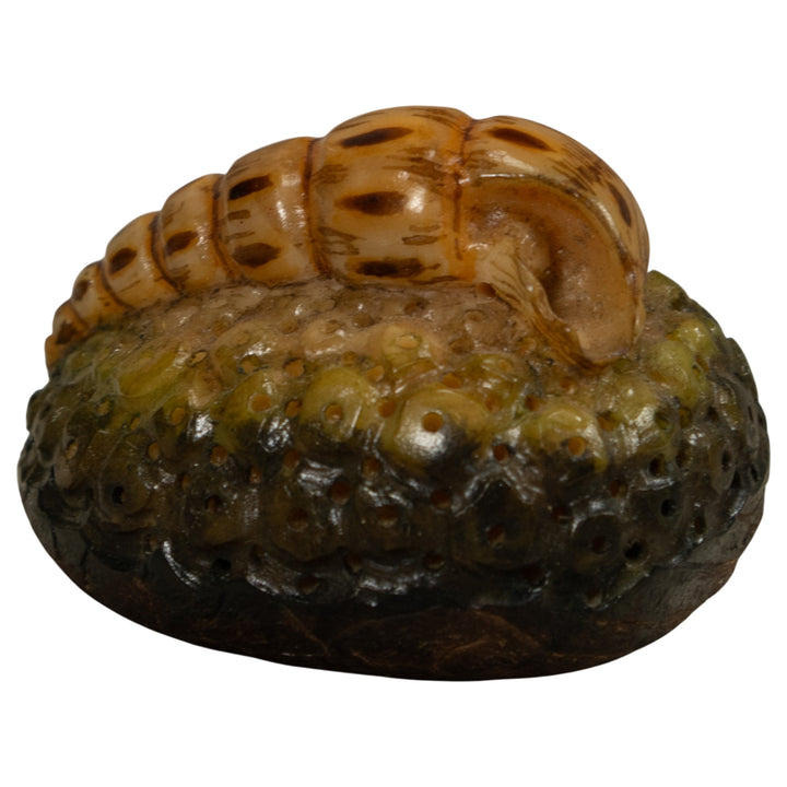 Catapillar Tagua Carving