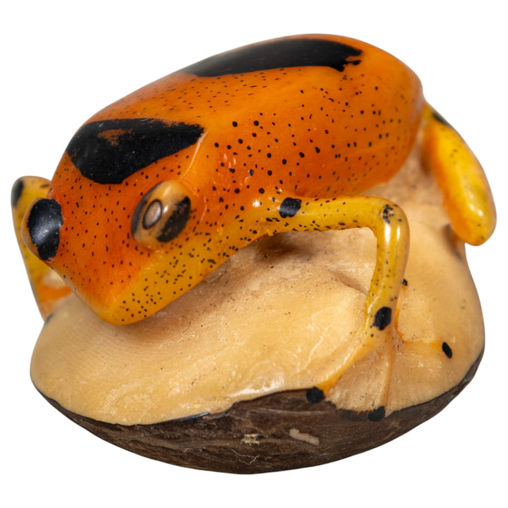 Vintage Poison Dart Frog Tagua Carving