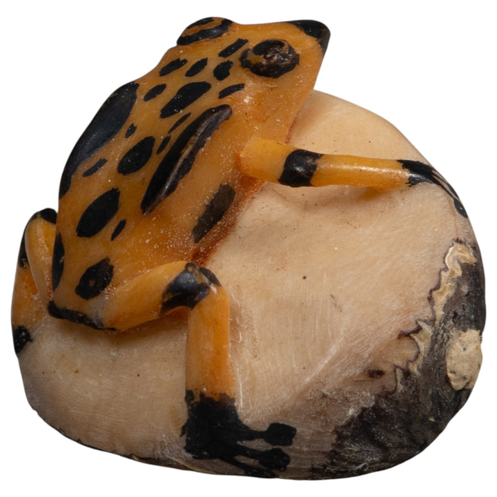 Vintage Gold And Black Poison Dart Frog Tagua Carving