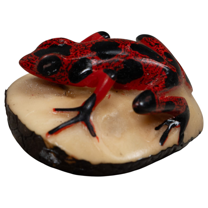 Vintage Poison Dart Frog Tagua Carving