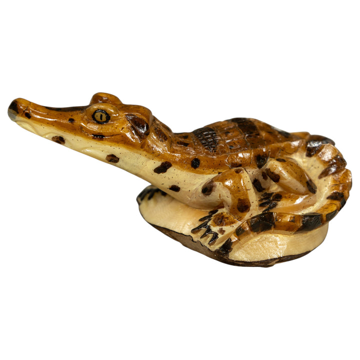 Alligator Crocodile Caiman Tagua Carving