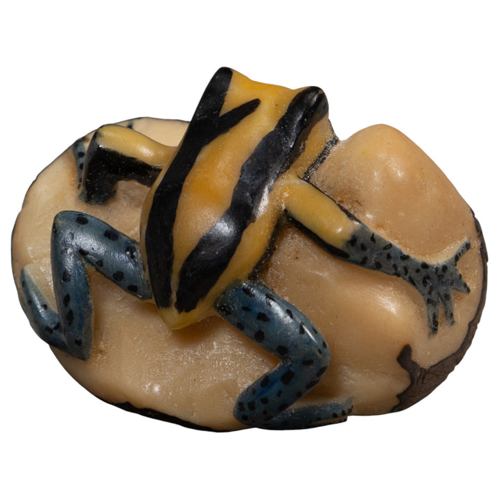 Vintage Yellow And Black Poison Dart Frog Tagua Carving