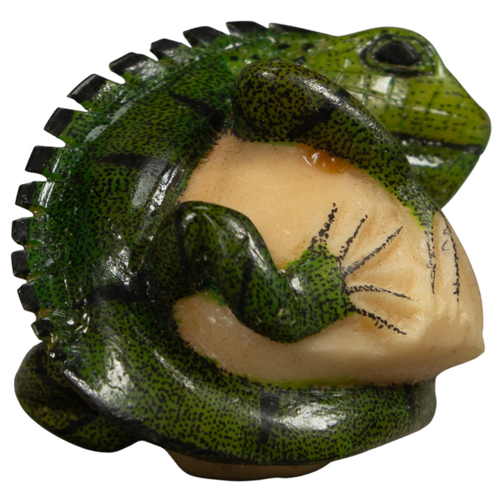 Iguana Lizard Reptile Tagua Carving
