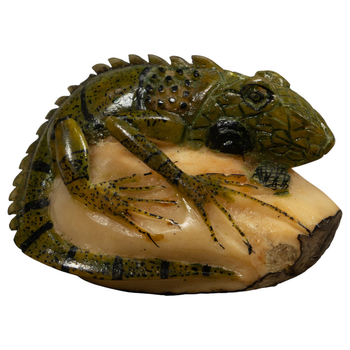 Vintage Iguana Lizard Reptile Tagua Carving