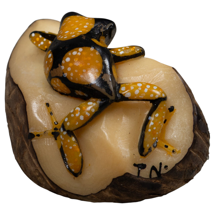 Gold White And Black Frog Tagua Carving