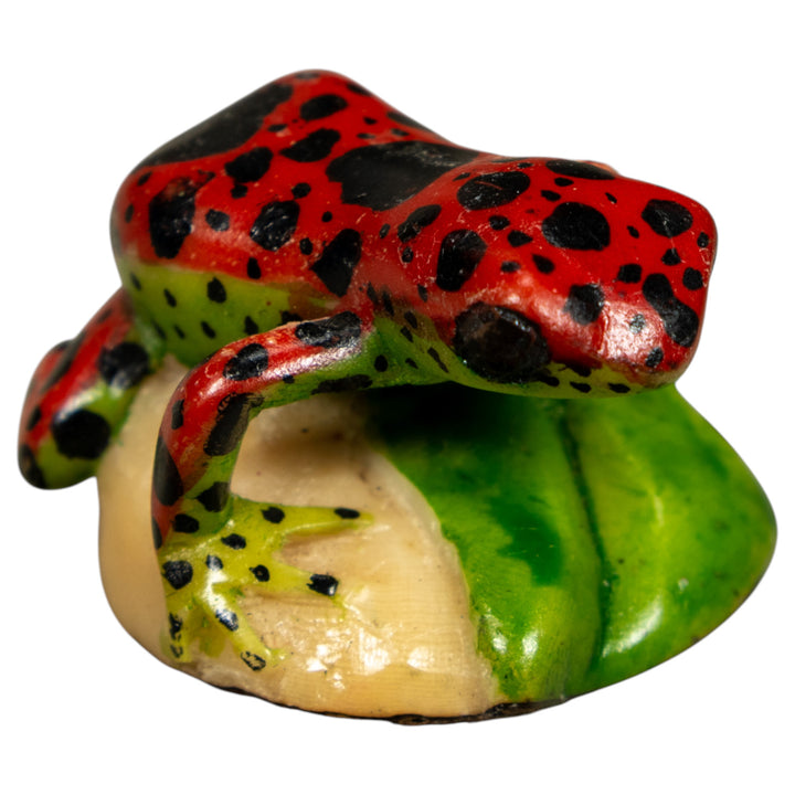 Red And Black Poison Dart Frog Tagua Carving