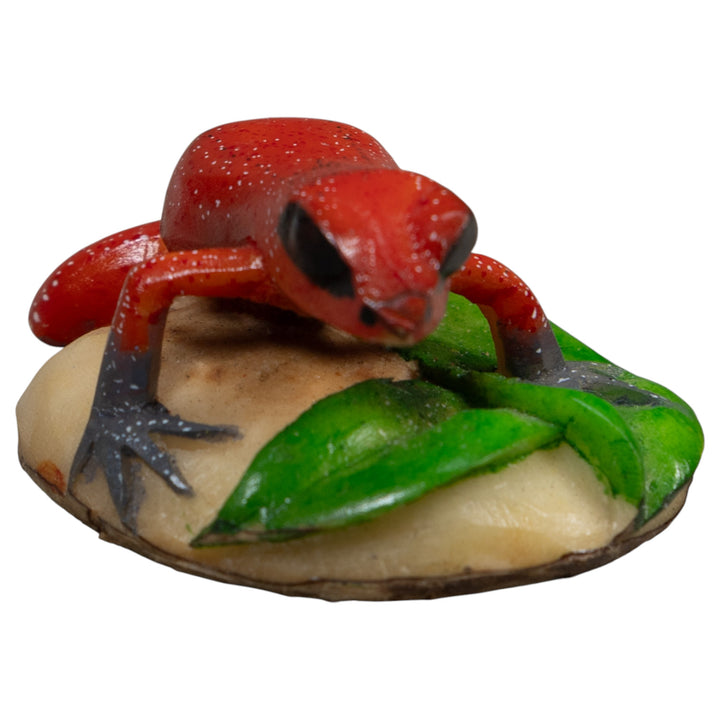 Red And Blsck-Eyed Poison Dart Frog Tagua Carving