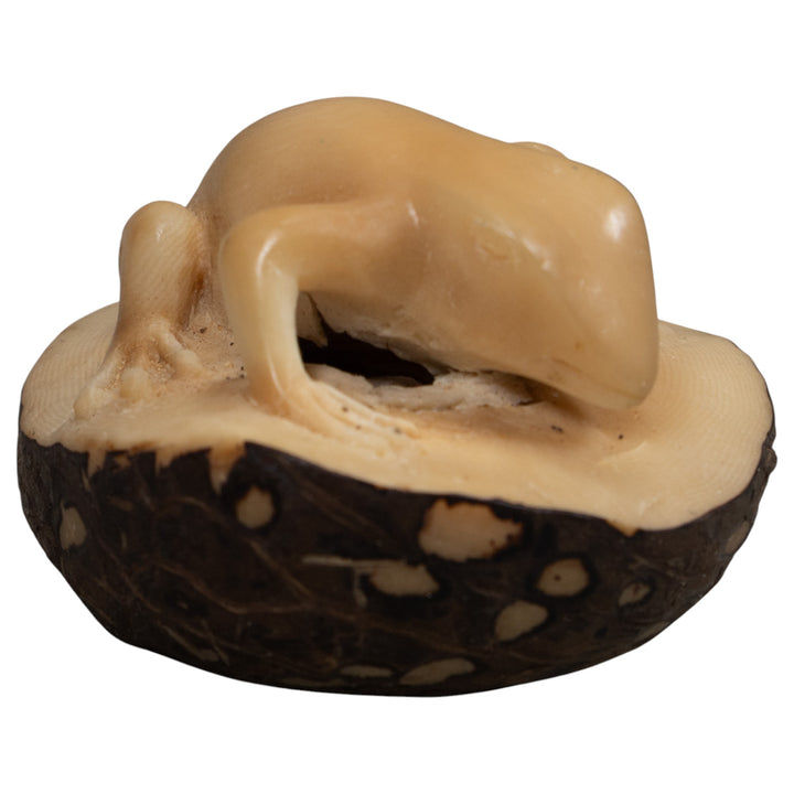 Vintage Natural White FrogTagua Carving