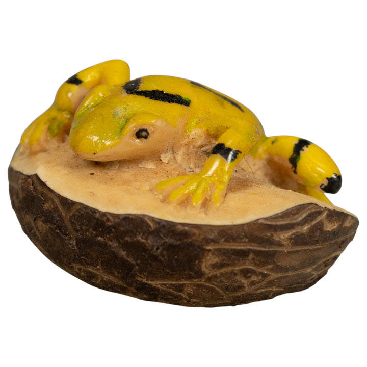 Vintage Golden Frog Tagua Carving