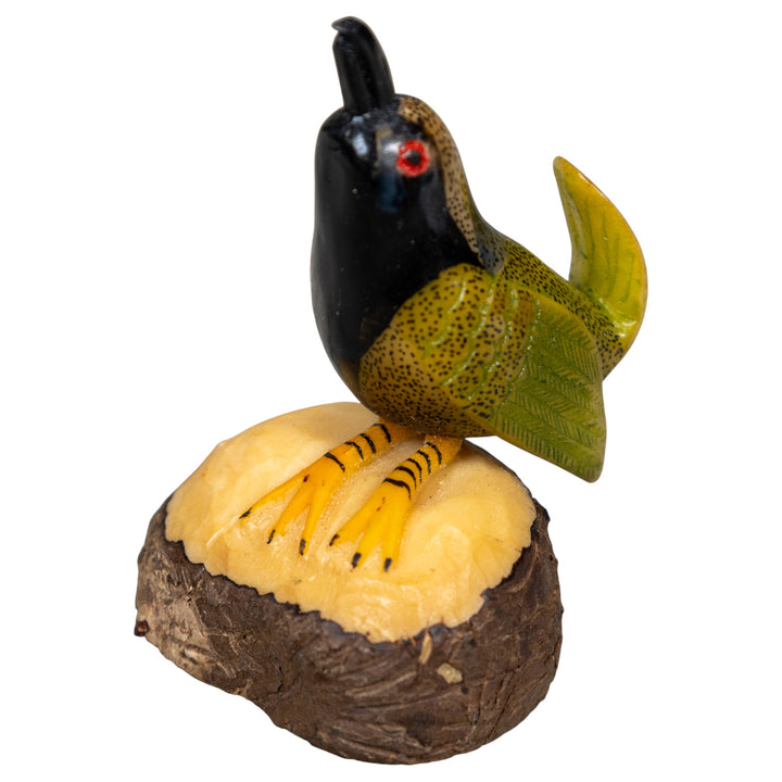Seed Eater Bird Tagua Carving