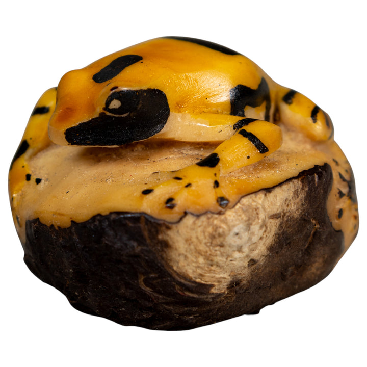Vintage Black And Gold Poison Dart Frog Tagua Carving
