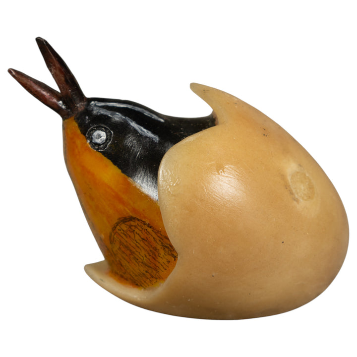 Orange Seed Eater Bird Emerging From Egg Tagua Carving
