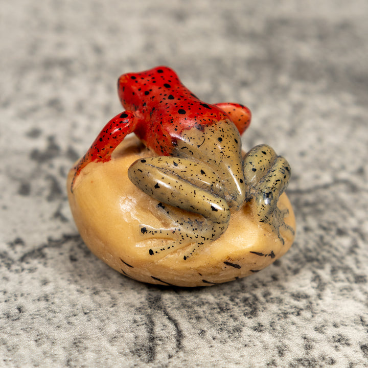 Blue And Red Poison Dart Frog Tagua Carving