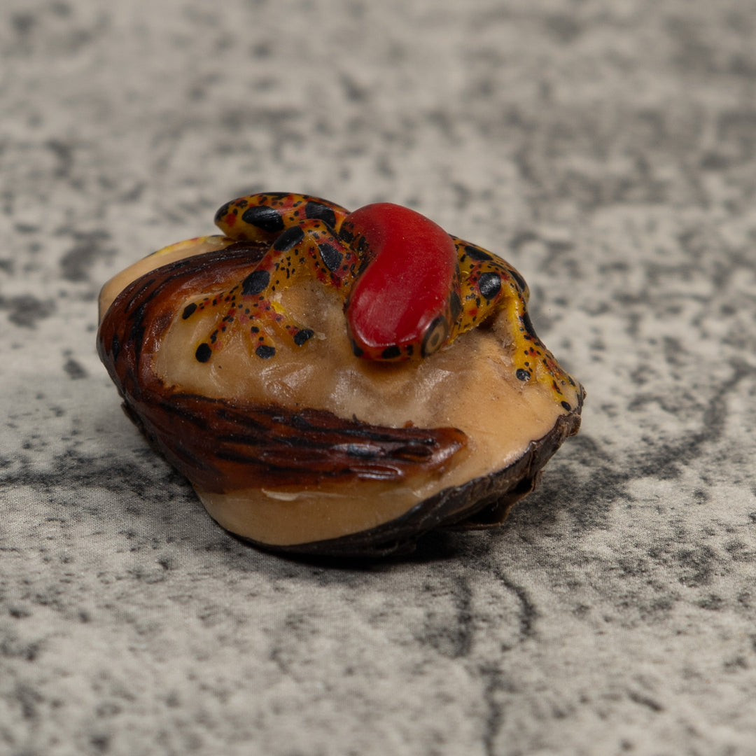Red Gold And Black Poison Dart Frog Tagua Carving