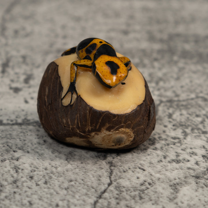 Gold And Black Poison Dart Frog Tagua Carving