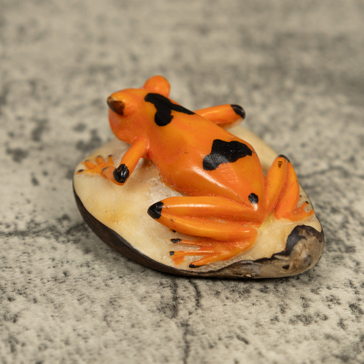 Golden Frog Tagua Carving