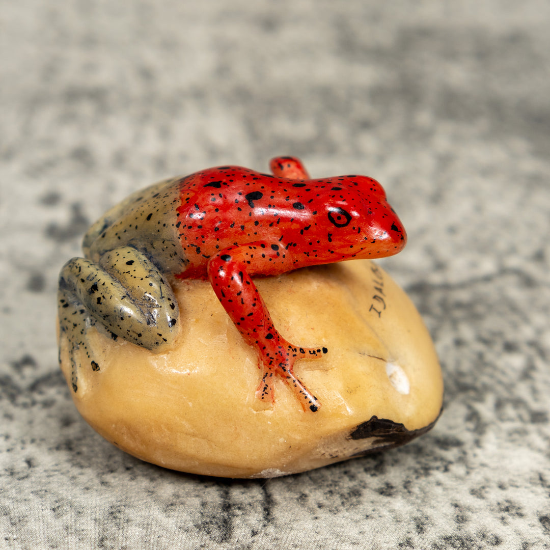 Blue And Red Poison Dart Frog Tagua Carving