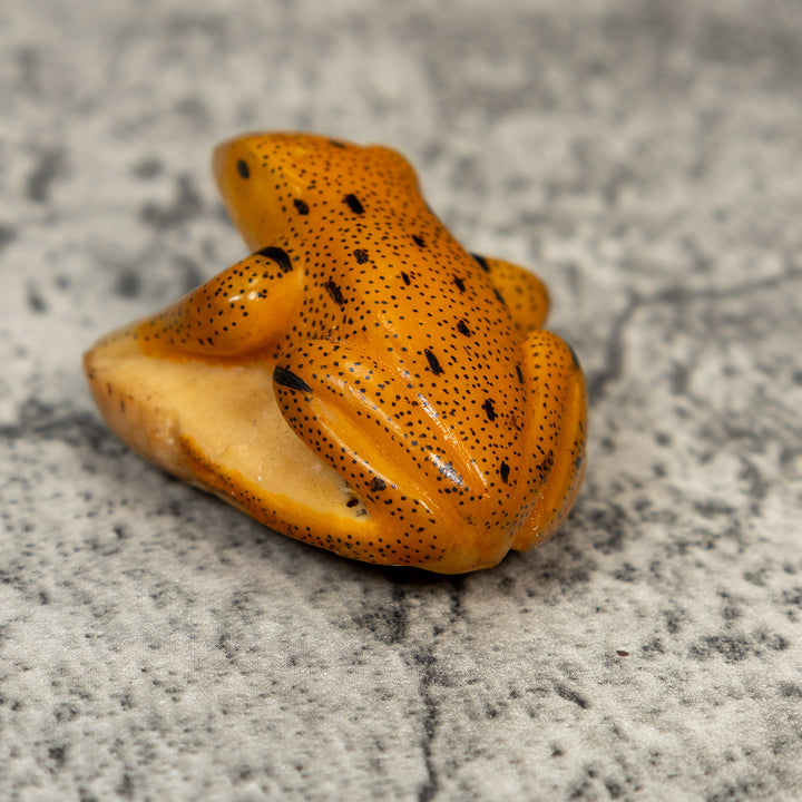 Gold And Black Frog Tagua Carving