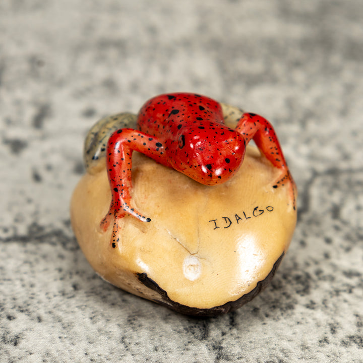 Blue And Red Poison Dart Frog Tagua Carving
