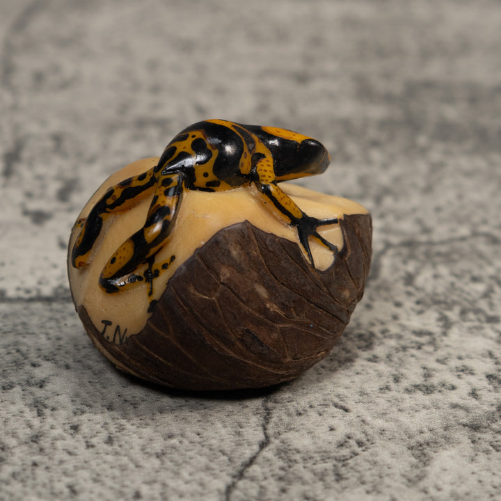 Gold And Black Poison Dart Frog Tagua Carving