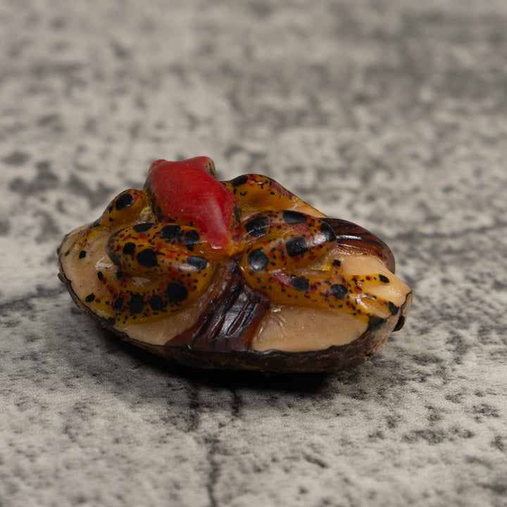 Red Gold And Black Poison Dart Frog Tagua Carving