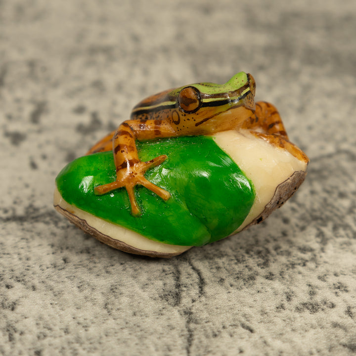 Brown And Green Poison Dart Frog Tagua Carving