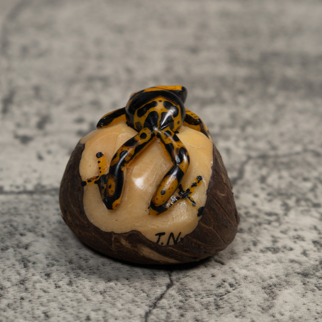Gold And Black Poison Dart Frog Tagua Carving