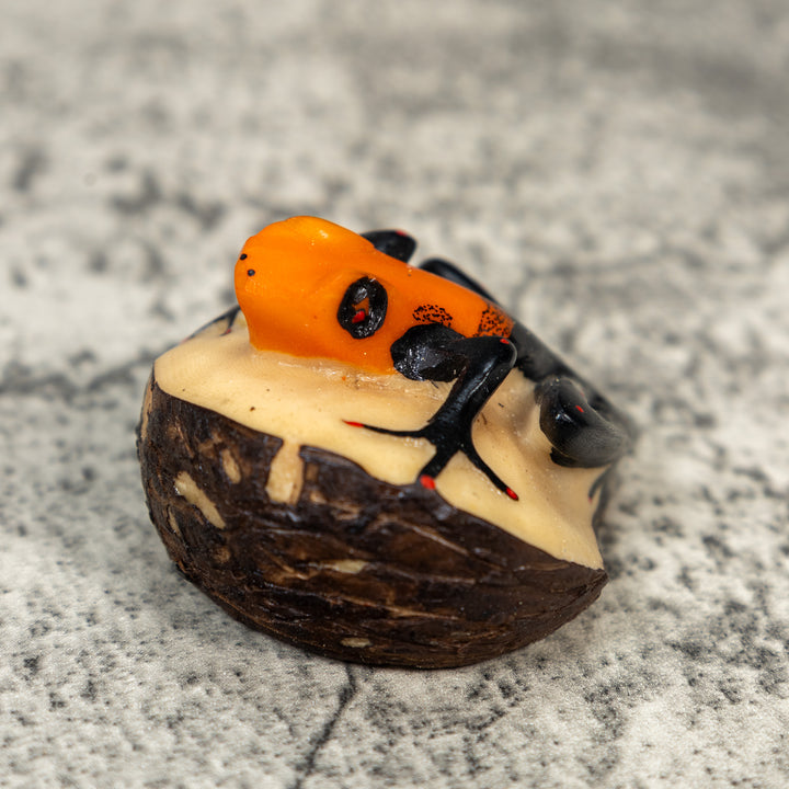Black And Orange Poison Dart Frog Tagua Carving