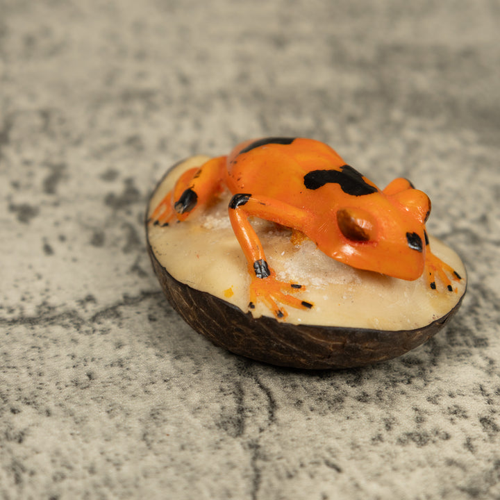Golden Frog Tagua Carving