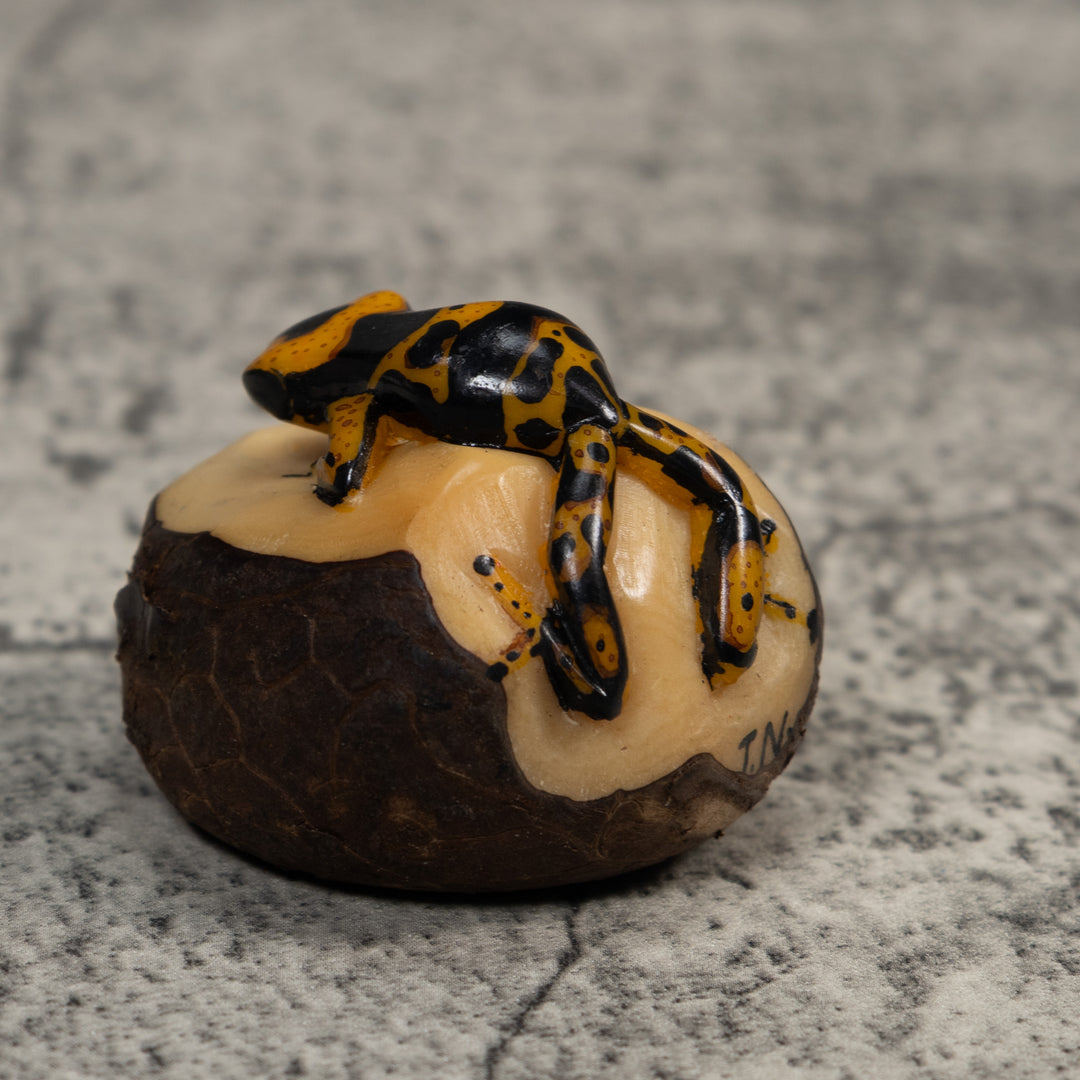 Gold And Black Poison Dart Frog Tagua Carving