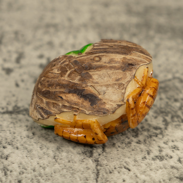 Brown And Green Poison Dart Frog Tagua Carving