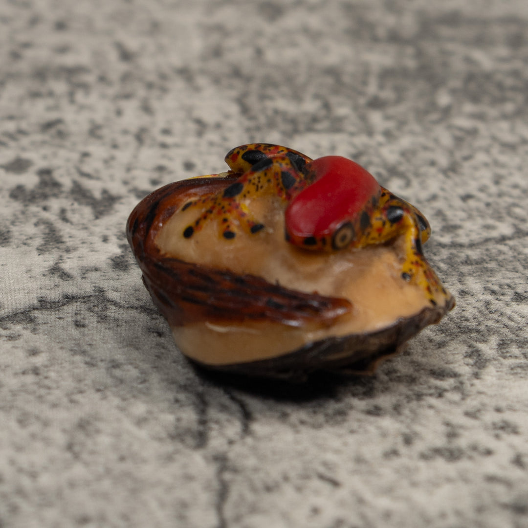 Red Gold And Black Poison Dart Frog Tagua Carving