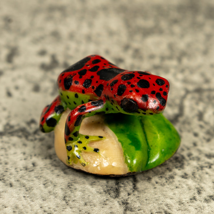 Red And Black Poison Dart Frog Tagua Carving