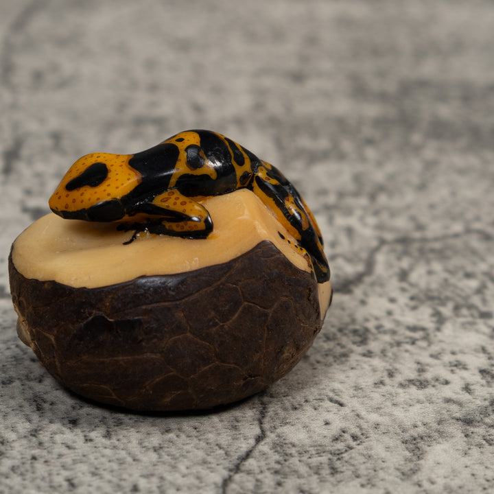 Gold And Black Poison Dart Frog Tagua Carving