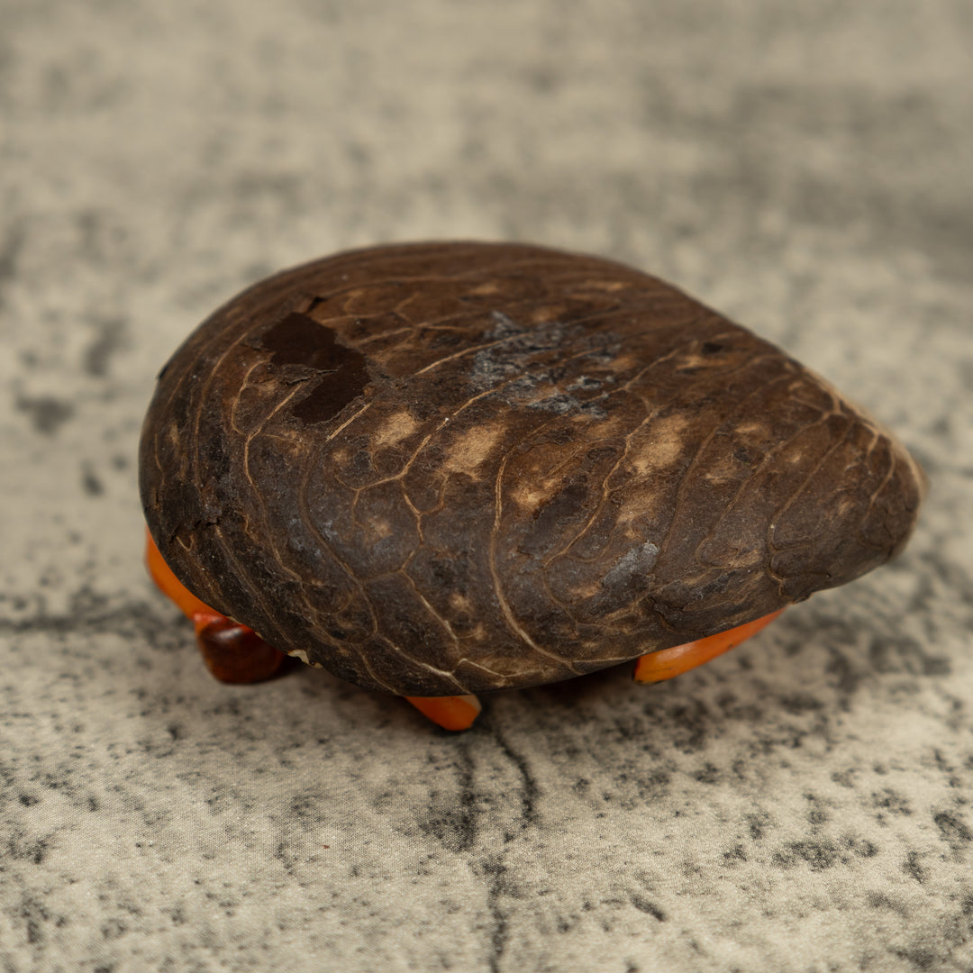 Golden Frog Tagua Carving