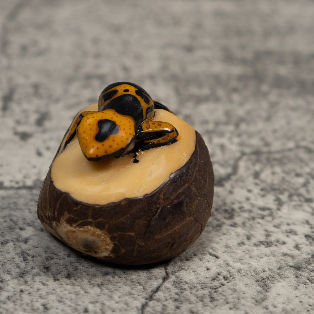 Gold And Black Poison Dart Frog Tagua Carving