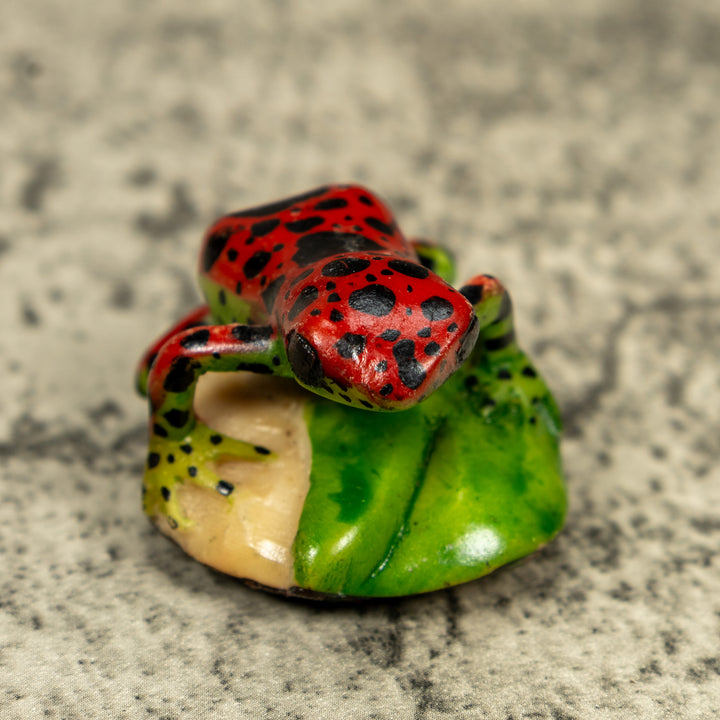 Red And Black Poison Dart Frog Tagua Carving