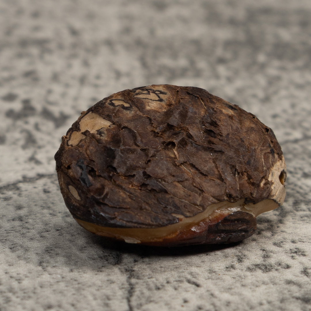 Red Gold And Black Poison Dart Frog Tagua Carving